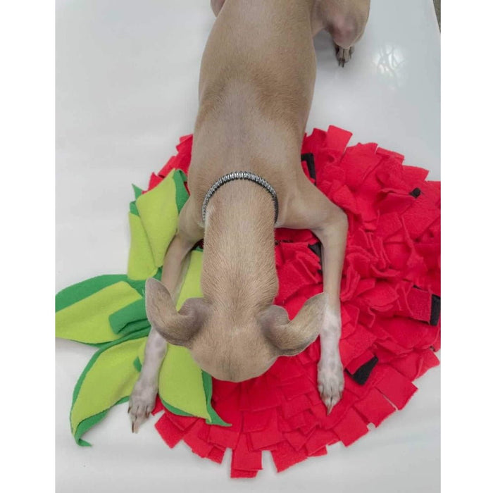 Strawberry Snuffle Mat - Snuffle Mats from . at DoggyTopia