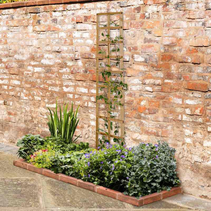 Traditional Square Garden Trellis #6ft x 1ft
