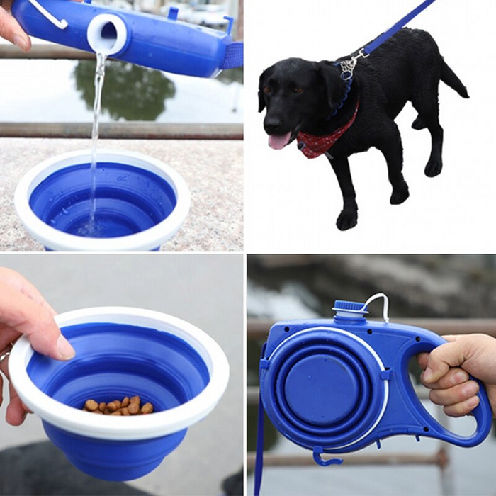Travel Walking Set with Water Bottle