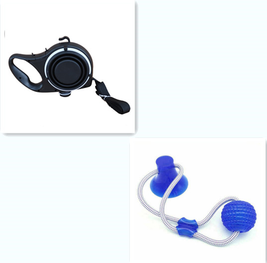 Travel Walking Set with Water Bottle