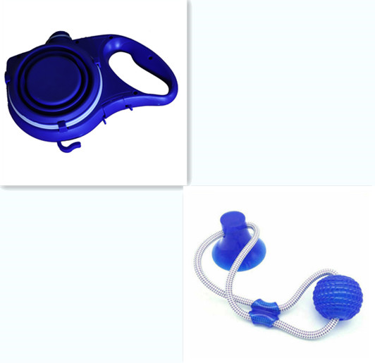 Travel Walking Set with Water Bottle