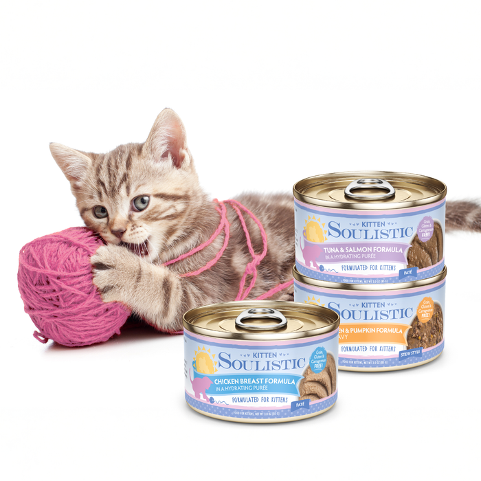 S0096-Soulistic Kitten Image Set - Lifestyle