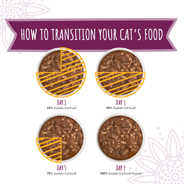 Four bowls show how to transition your cat to Soulistic Tuna & Turkey Dinner in Gravy: Day 1—25% new food, Day 3—50%, Day 5—75%, and Day 7—100%. Text reads "How to Transition Your Cat’s Food.