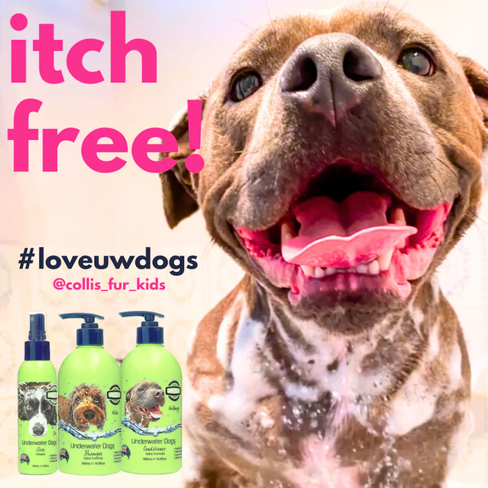 UNDERWATER DOGS Conditioner 250mL - Conditioners from Underwater Dogs at DoggyTopia