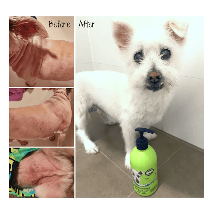 UNDERWATER DOGS Sensitive Shampoo 500mL - Shampoo's from Underwater Dogs at DoggyTopia