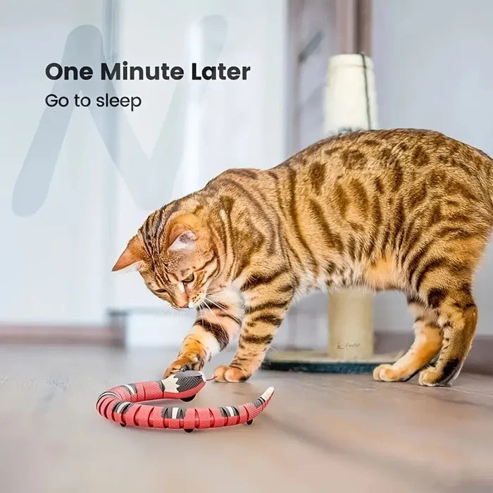 USB Rechargeable Snake Cat Toy, detail view