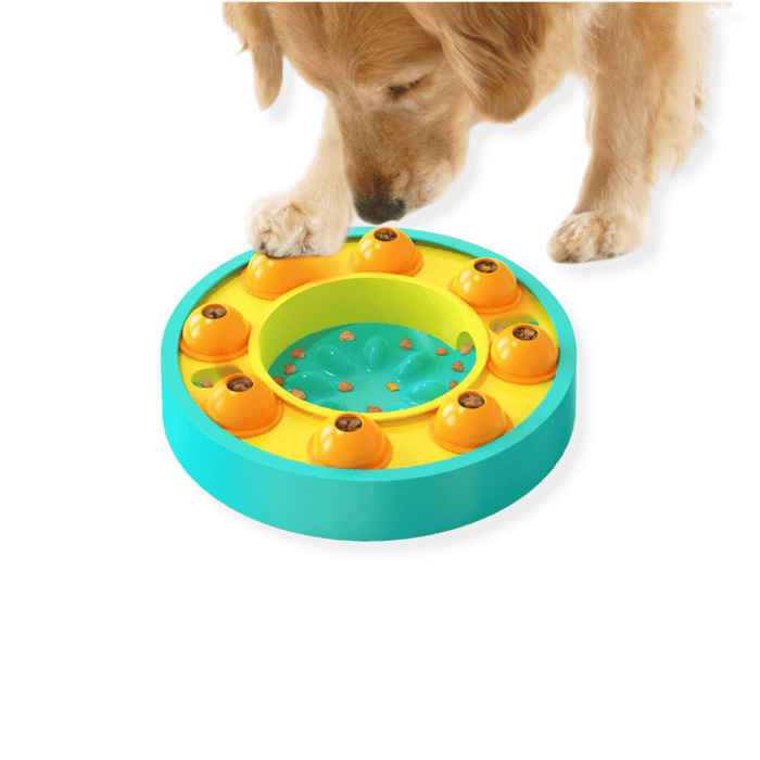 Wheel Slow Feeder Dog Puzzle - Puzzles from . at DoggyTopia