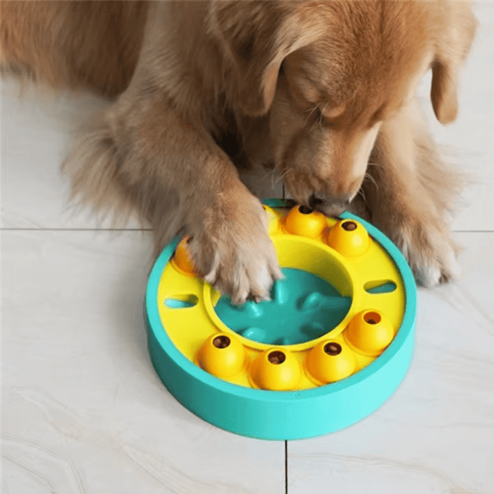 Wheel Slow Feeder Dog Puzzle - Puzzles from . at DoggyTopia