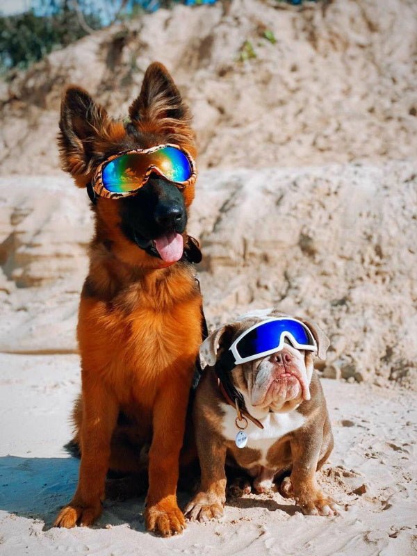 Wild Dog Goggles - Dog Goggles from . at DoggyTopia