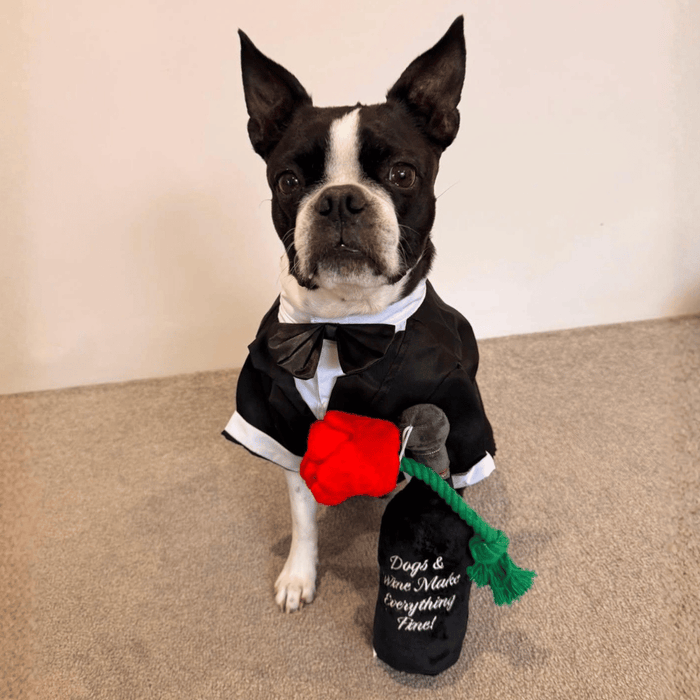 Woof Reserve Cabarknet Dog Toy