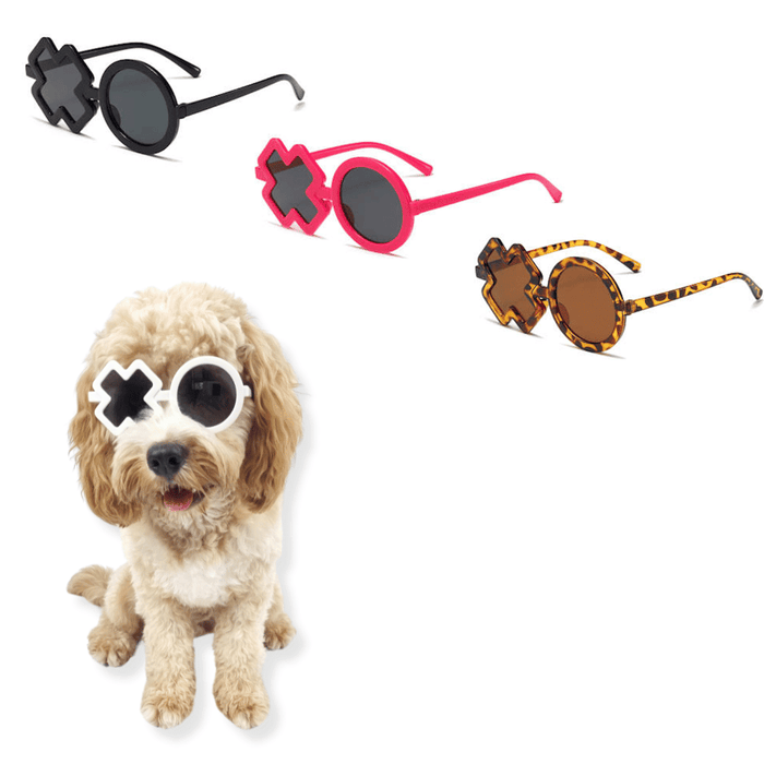 XO Dog Glasses - Dog Goggles from Sale at DoggyTopia