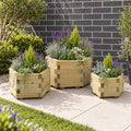 York Hexagonal Geometric Planters (Set of 3) — planted hero