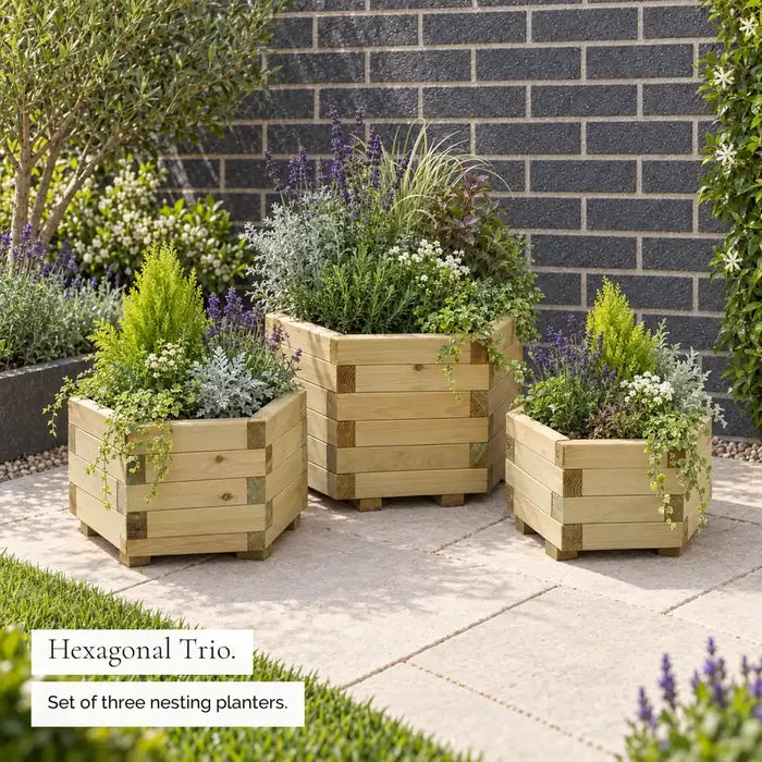 York Hexagonal Geometric Planters (Set of 3) — hexagonal trio