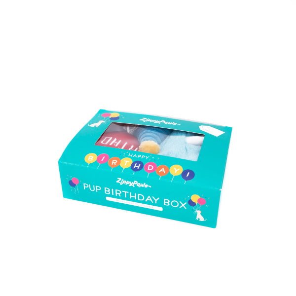 Zippy Paws - Birthday Box Blue - Interactive Toys from Zippy Pawz at DoggyTopia